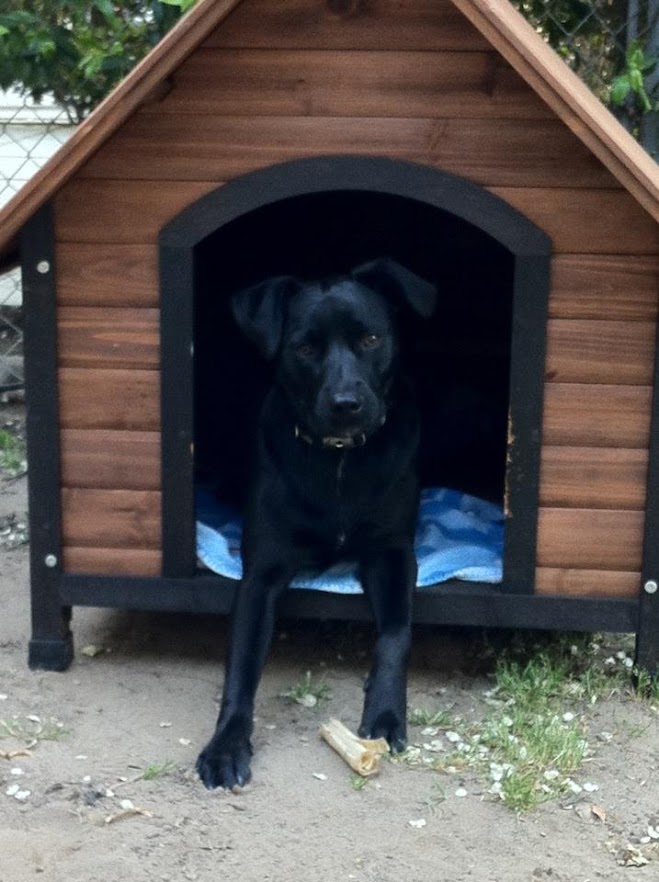 Ajax